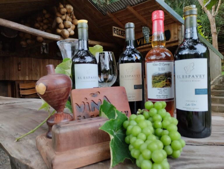 Do You Know The History of Viñedo El Espavey? 100% Natural Wine Made In Costa Rica